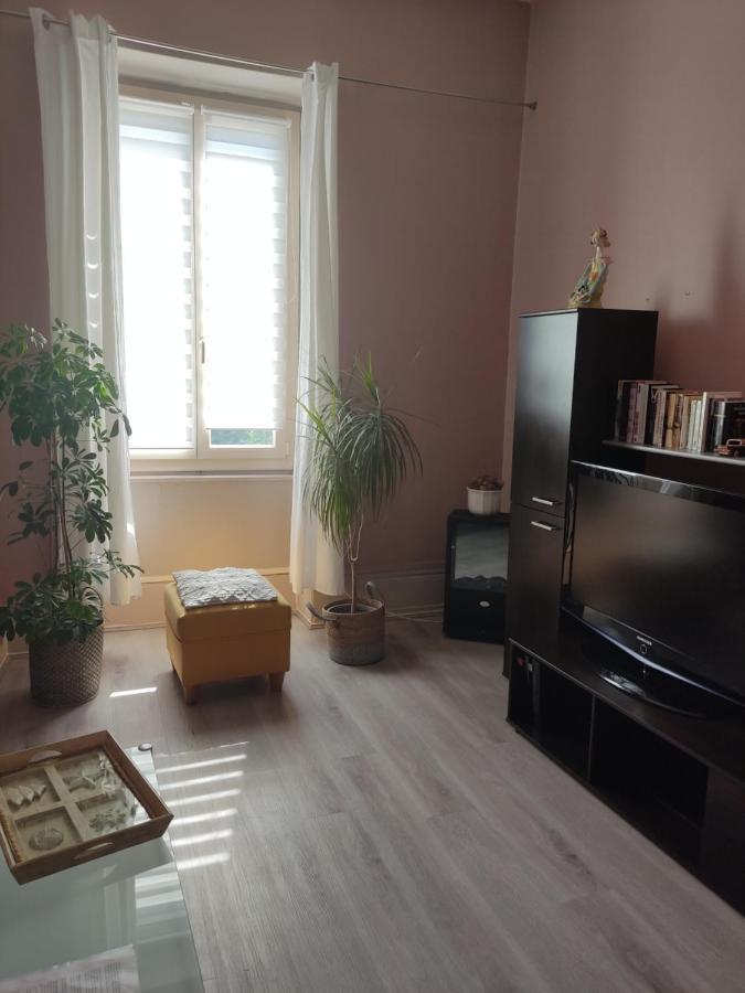 Gite Chanay 80 M2 Tournus 2 Chambres Екстериор снимка